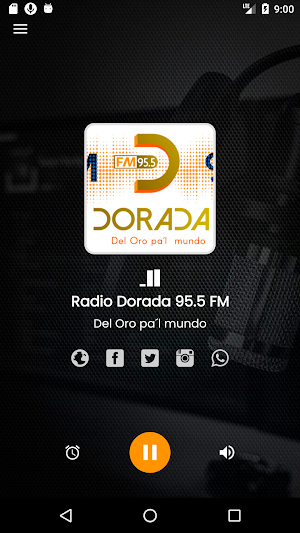 Radio Dorada 95.5 FM Screenshot 1
