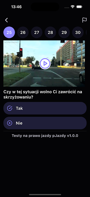PRO Driving Tests 2025 Screenshot 1