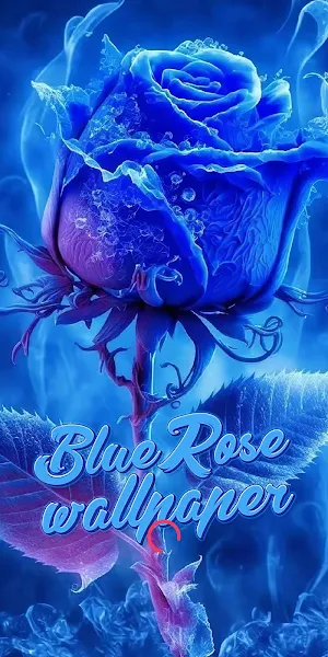 blue rose wallpaper Screenshot 0