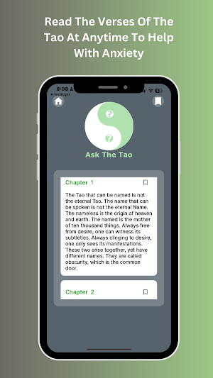 Ask The Tao Screenshot 3