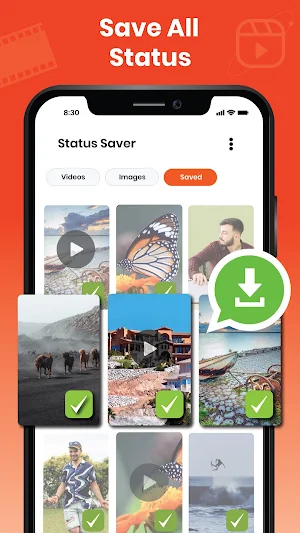 Video Downloader HD: 4k player Screenshot 3
