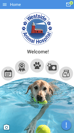 Vet Station Screenshot 0