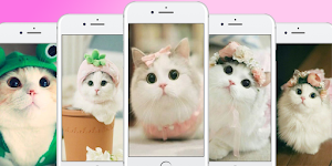 cute wallpaper kawaii Screenshot 3