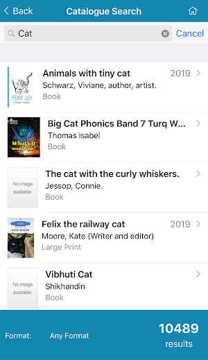 Dublin City Libraries Screenshot 2