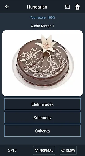 Learn Hungarian. Speak Hungarian. Study Hungarian. Screenshot 3