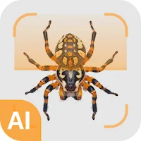 Spider identifier