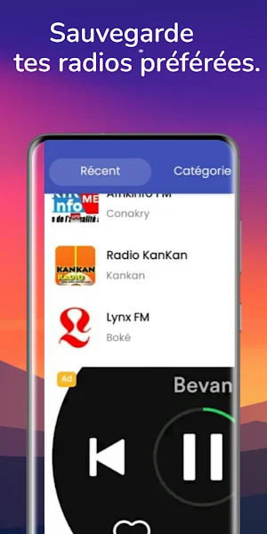 NetFM Guinee Screenshot 2