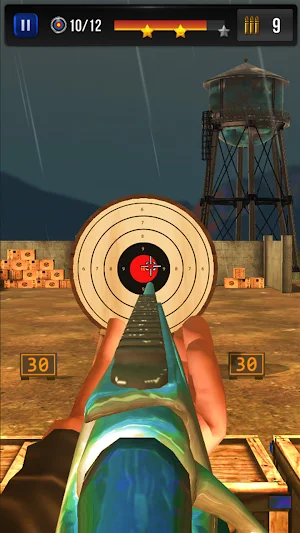 Shooting Challenge Bull Eye screenshot 1