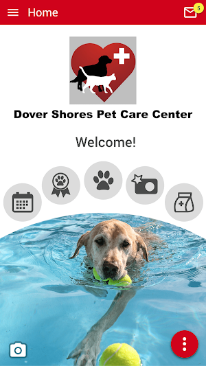 Dr. B's Pet Club Screenshot 0
