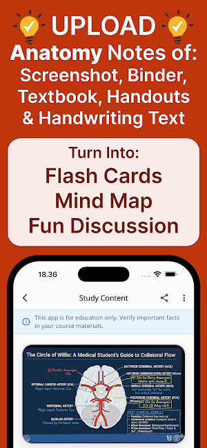 Anatomy Note Mindmap Flashcard Screenshot 1