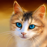 Cat Wallpapers 2022
