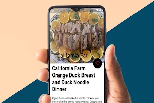 Amazing Dinner ideas Recipes Screenshot 3