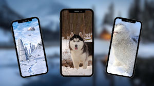 Snow Wallpapers Screenshot 0