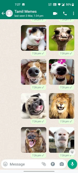 Animals Laughing Stickers Screenshot 2