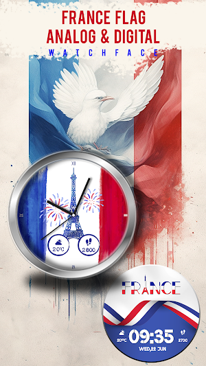 France Flag Theme Watch Face Screenshot 2