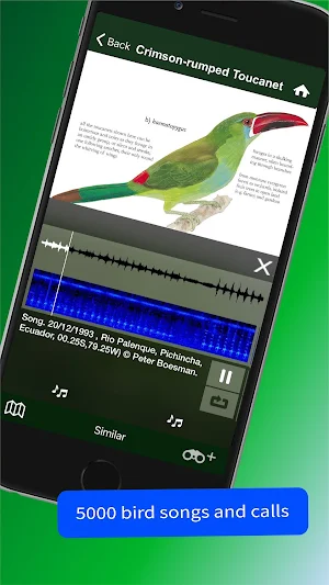 All Birds Northern South Ameri Screenshot 2