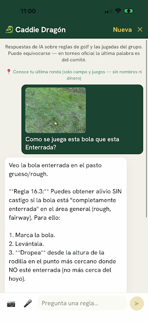 Dragon Golf Lite Screenshot 3