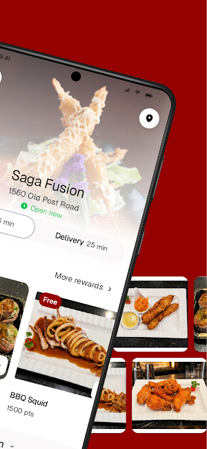 Saga Fusion Screenshot 1