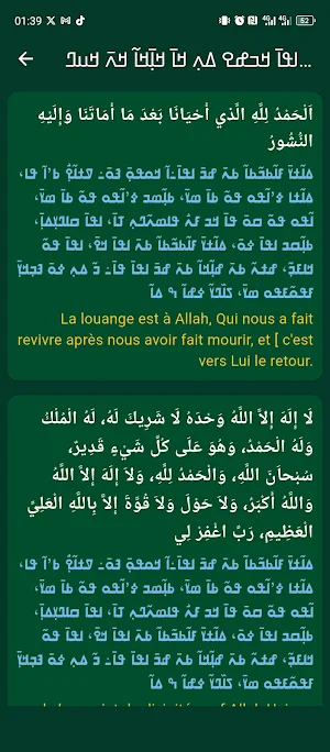 Coran en Nko Screenshot 2