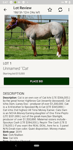 Porter Quarter Horses Screenshot 1