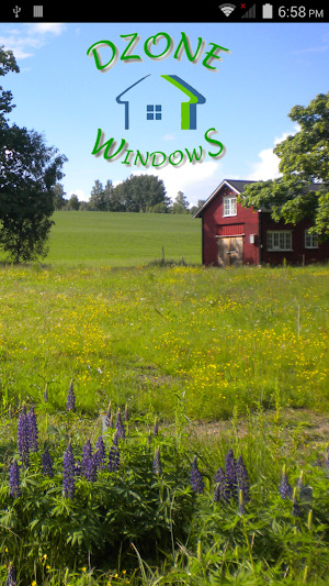 Dzone Windows & Doors Dublin Screenshot 0