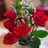 Flores hermosas. Imágenes