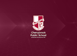 Cherrybrook Public School Screenshot 2