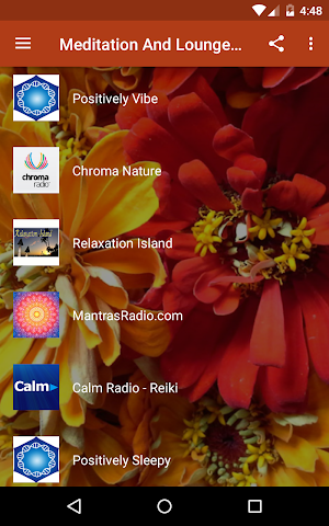Meditation Lounge Radio - Reiki, Yoga, Relax Music Screenshot 1