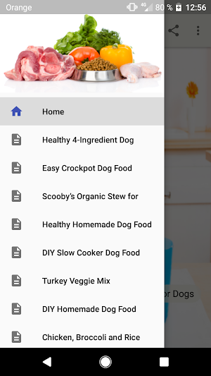 Dog Food Recipes Screenshot 0