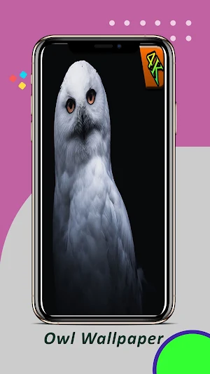 Owl Wallpaper Screenshot 0