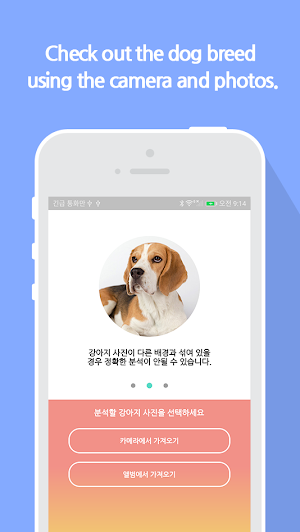 What is your dog? Screenshot 2