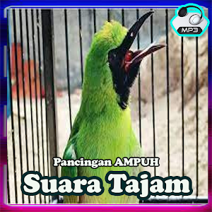 Masteran Cucak Ijo Full Isian Screenshot 1