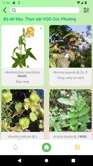 Forestry 4.0 Screenshot 1