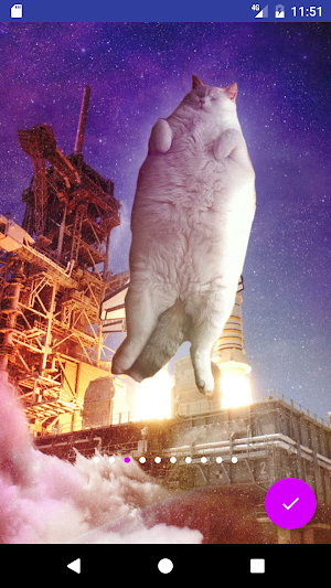 Cats In Space HD Wallpapers Screenshot 1
