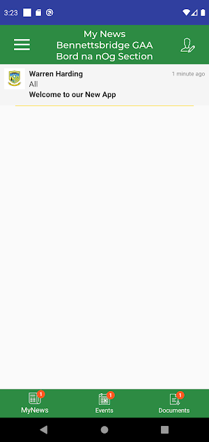 Bennettsbridge GAA, Bord na nO Screenshot 1