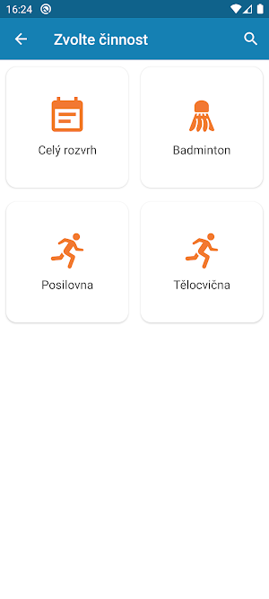 Sokolovna Litvínov Screenshot 2