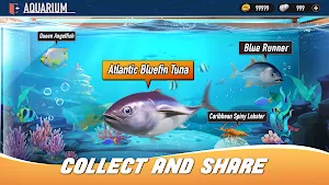 Fishing GoGo Screenshot 1
