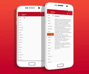 Spanish Dictionary Screenshot 2