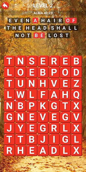 LDS Scripture Word Search Screenshot 3