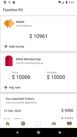 FunctionFit Screenshot 1