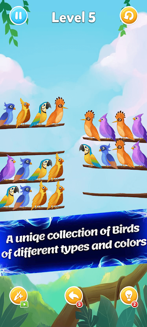 Sort Birds Screenshot 1
