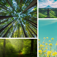 Nature Wallpapers & Background
