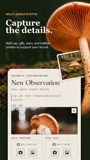 FungiLog: Mushroom Map & ID Screenshot 1
