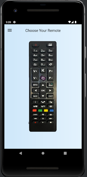 TV Remote Control For AYA Screenshot 2
