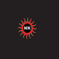 Indus Curry express