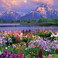 Beautiful Spring Wallpapers