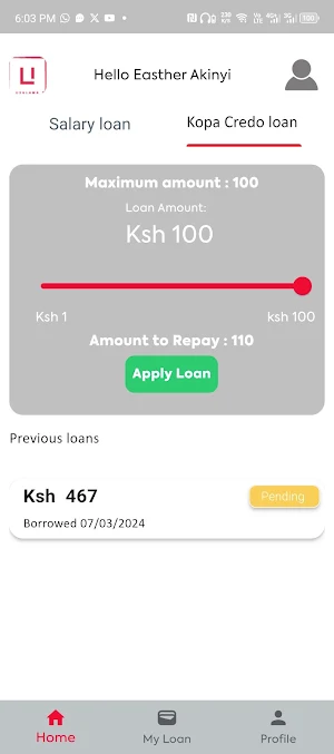 Usalama Loans Screenshot 1
