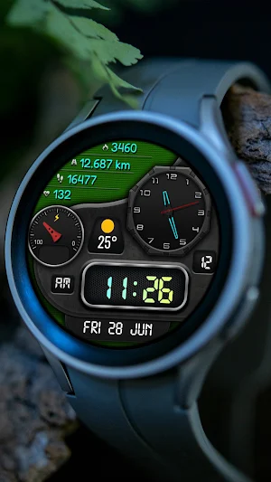 Hybrid DINOMAK WS 3 Watch face Screenshot 2