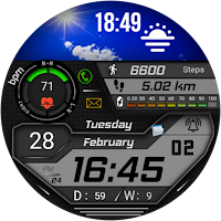 FSW223 Watchface