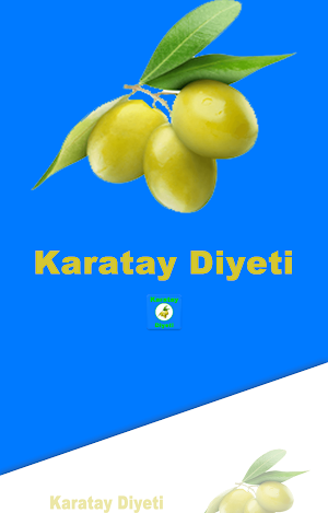 Karatay Diyeti Screenshot 0